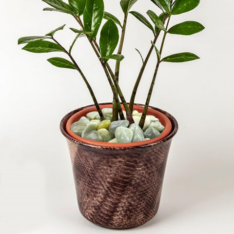 FANTIAN variaciones de tonos verdes que complementan plantas