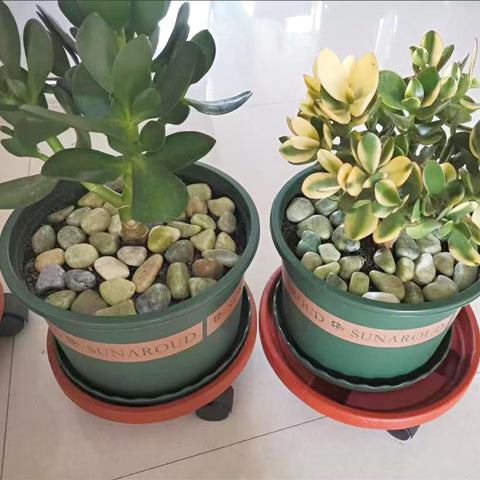 FANTIAN uso en jardín como camino decorativo resistente y atractivo