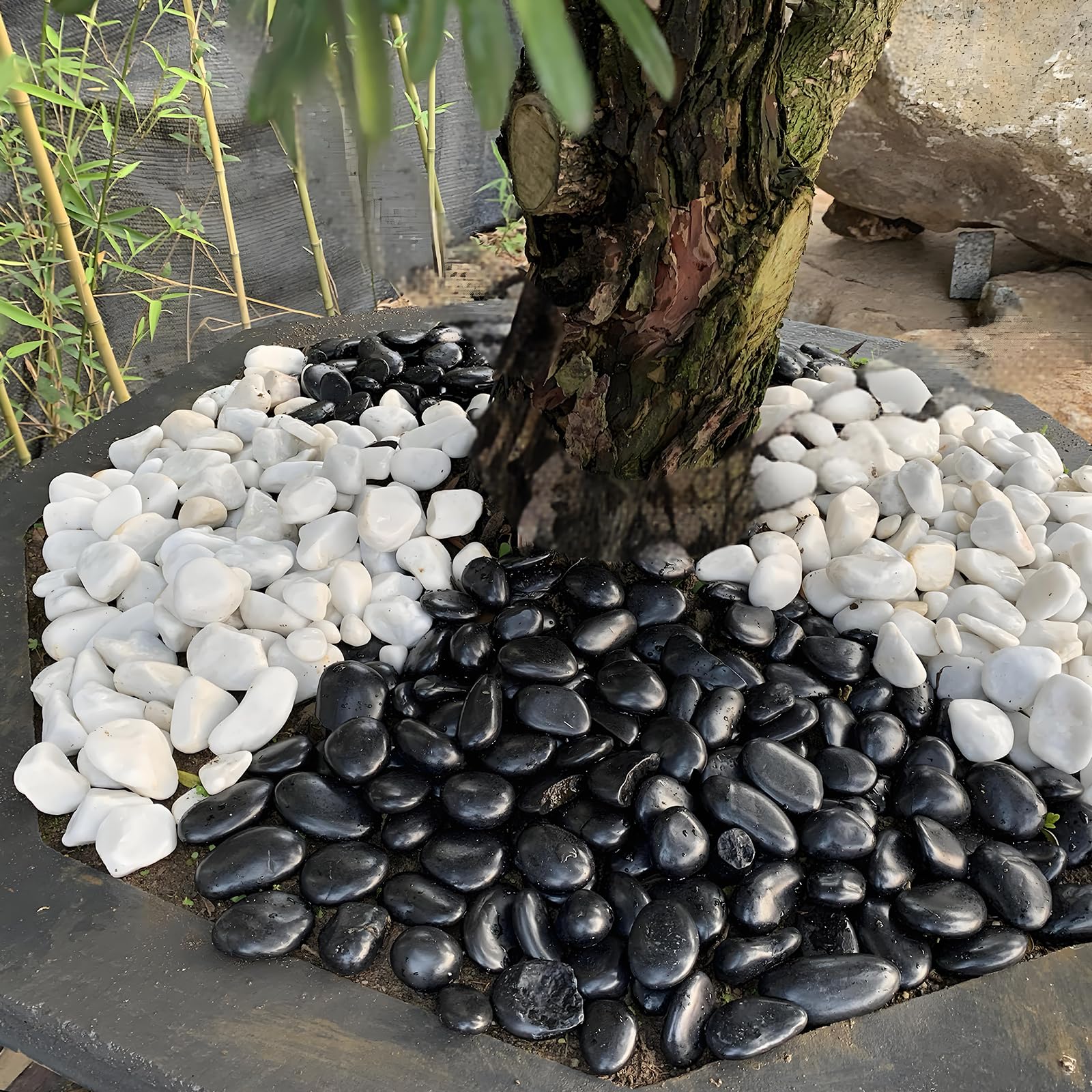 FANTIAN piedras en maceta decorativa, mejora estética y drenaje