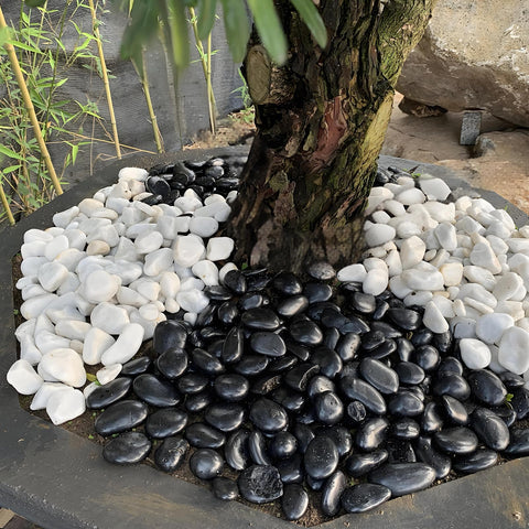 FANTIAN piedras en maceta decorativa, mejora estética y drenaje