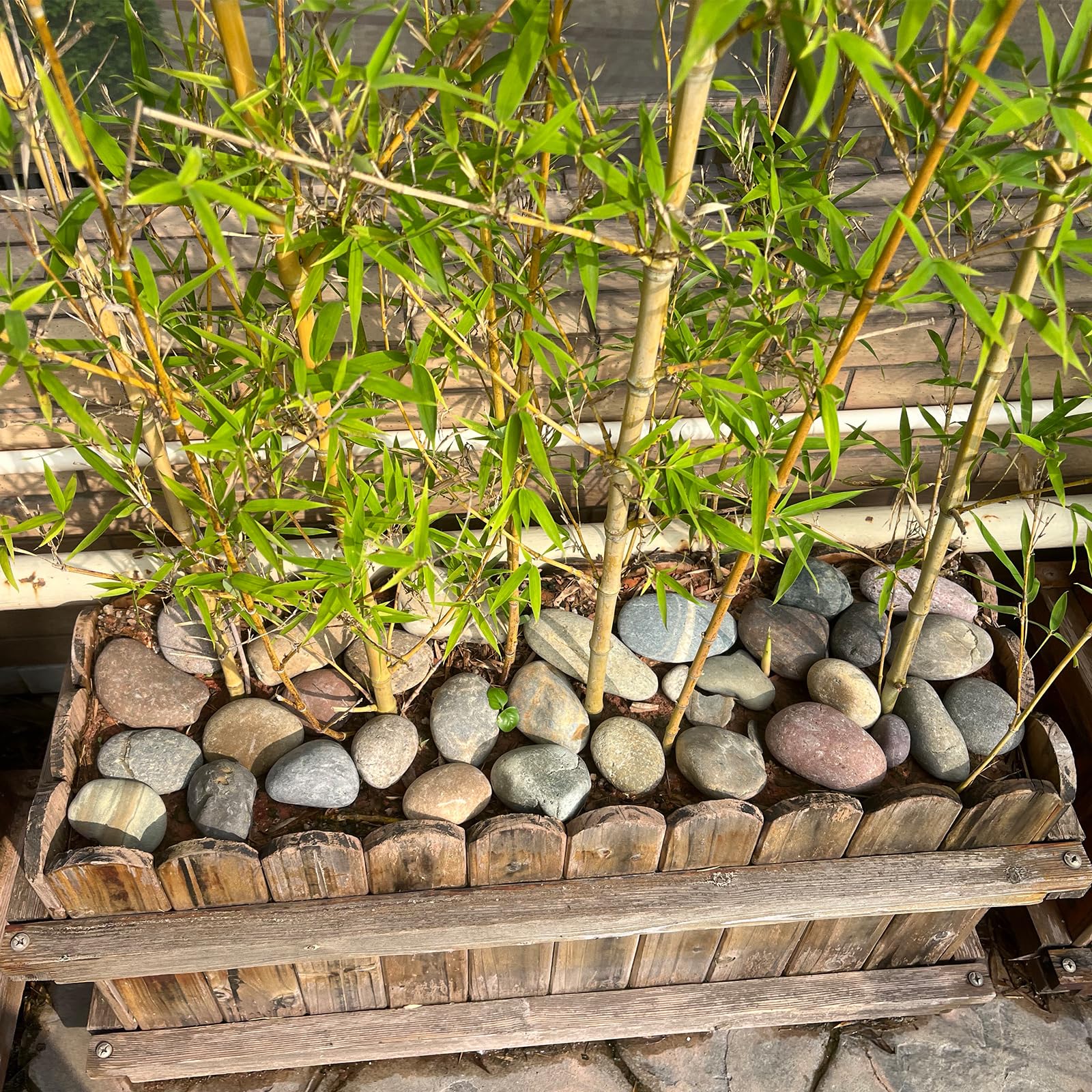 FANTIAN piedras en maceta grande mejoran drenaje y apariencia del jardín