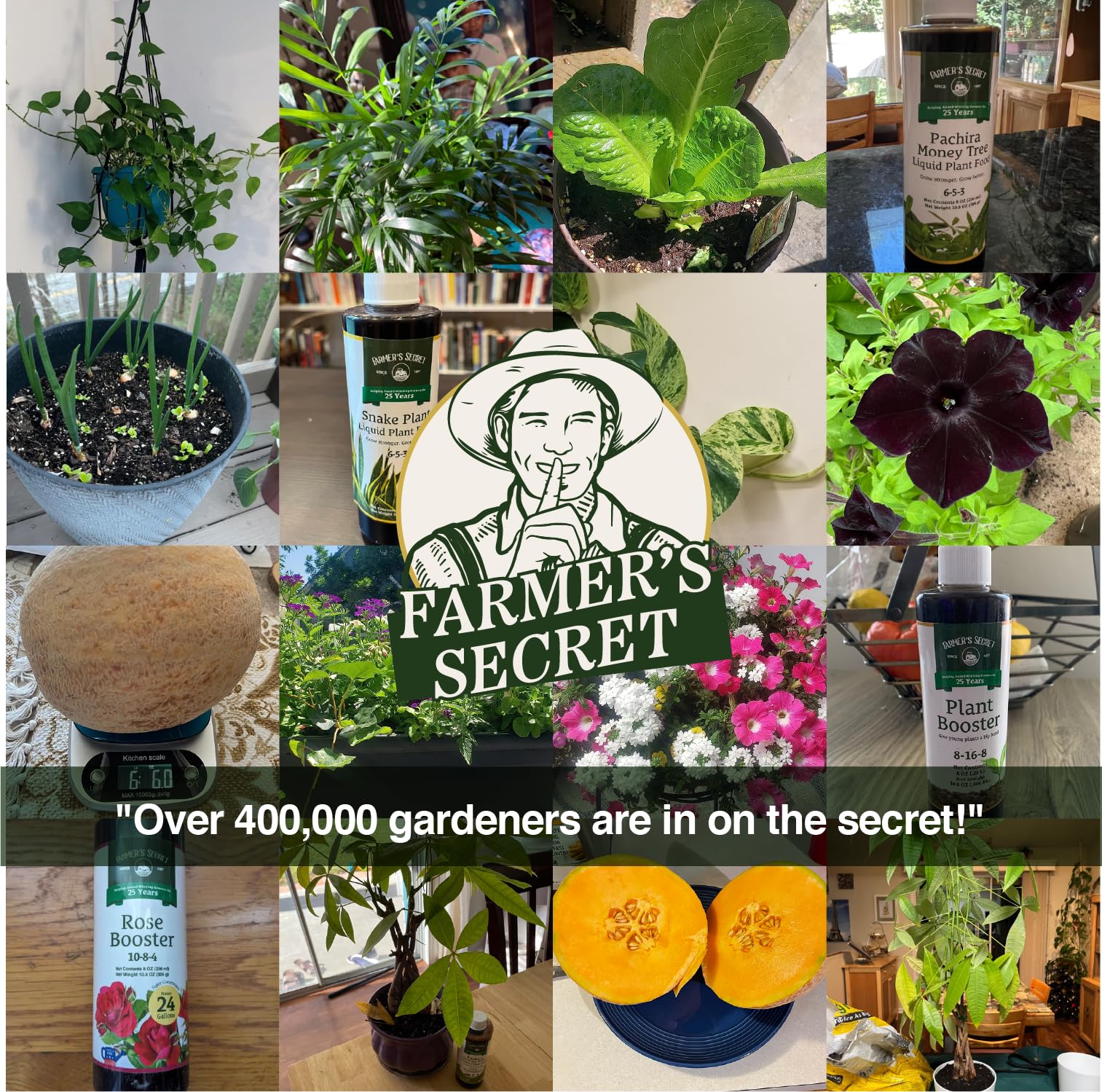 Farmer's Secret etiqueta informativa con instrucciones claras y beneficios