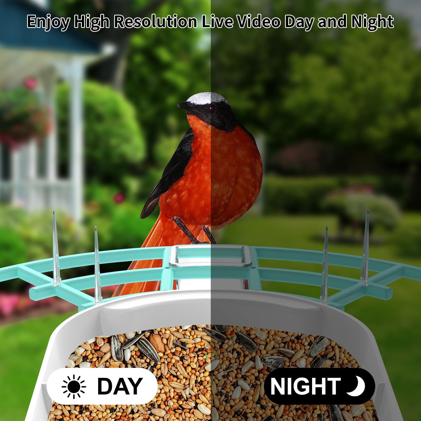 Fazoxo imagen nocturna de aves con visión infrarroja clara y detallada