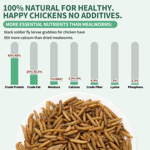 FCI GRUBS textura crujiente en primer plano para mejor digestión