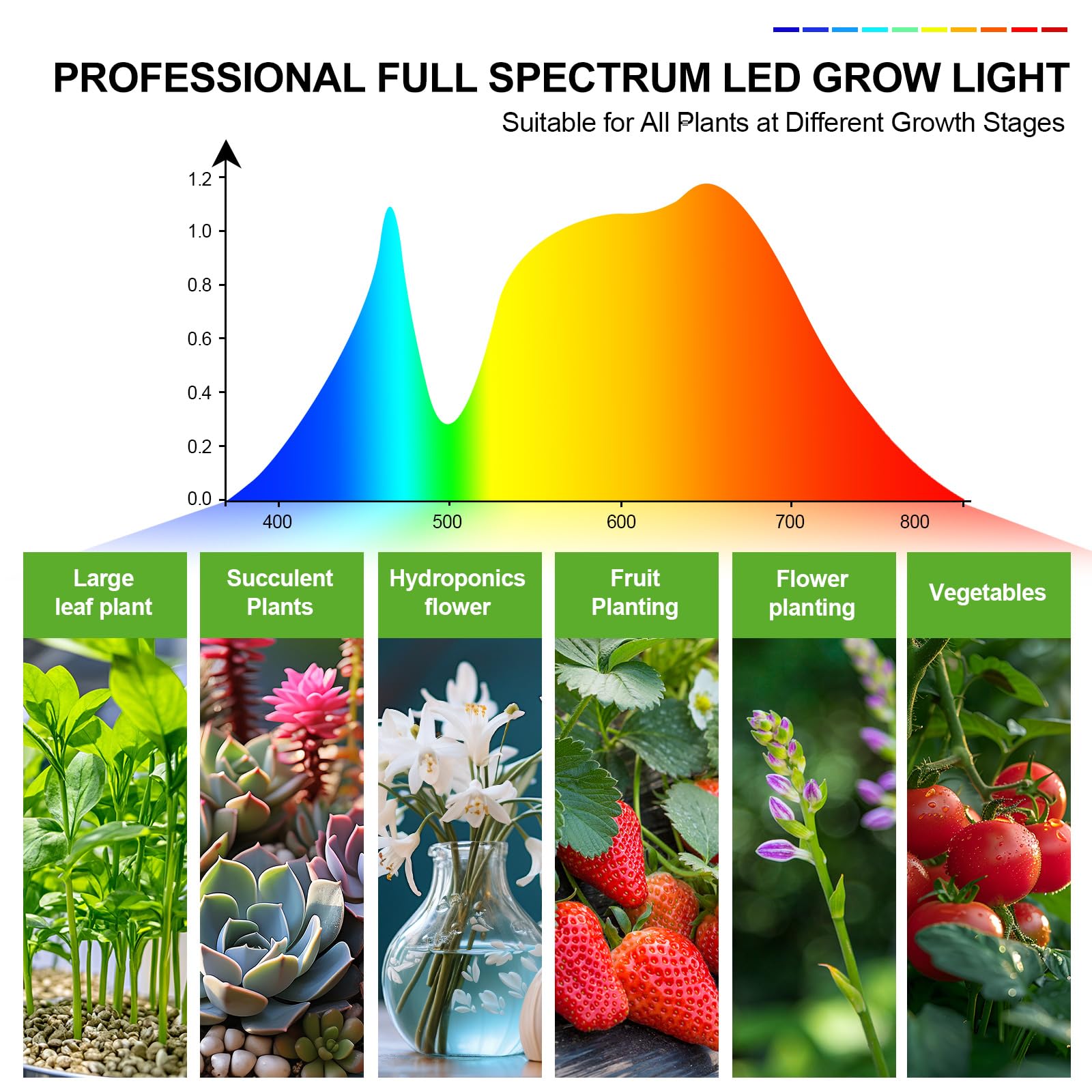 FECiDA escena de interior con plantas múltiples beneficiadas por la luz