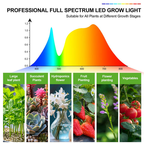 FECiDA escena de interior con plantas múltiples beneficiadas por la luz