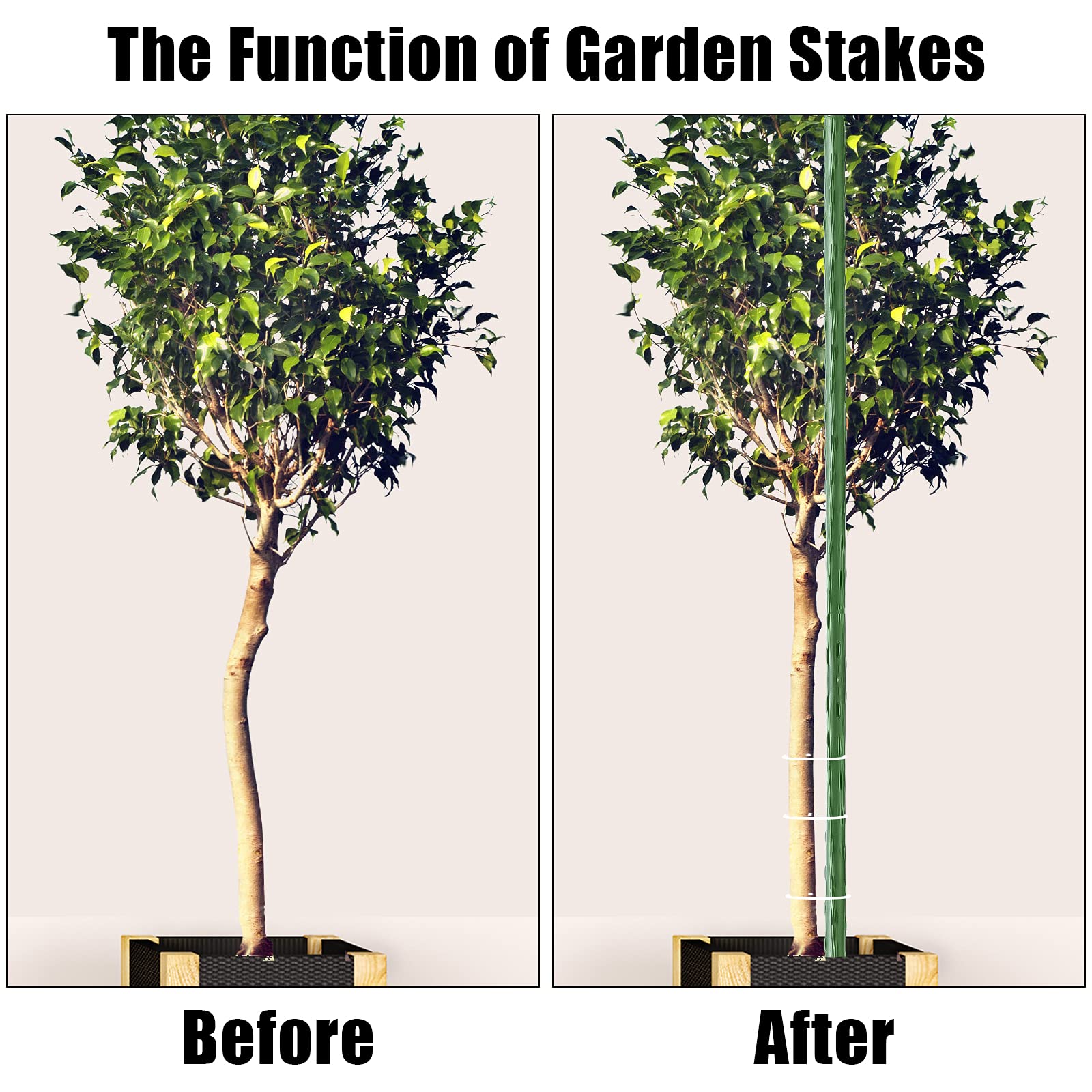 FEED GARDEN comparación de altura mostrando 83 pulgadas y escala