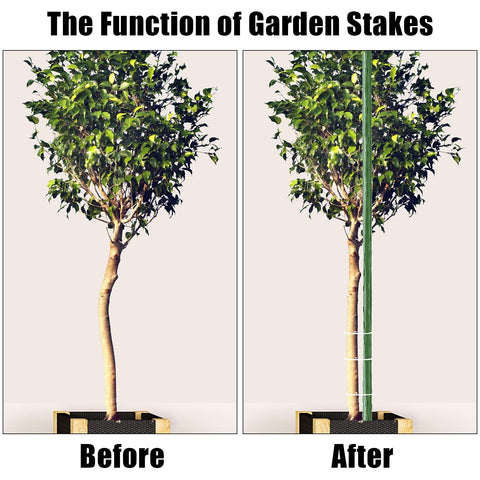 FEED GARDEN comparación de altura mostrando 83 pulgadas y escala