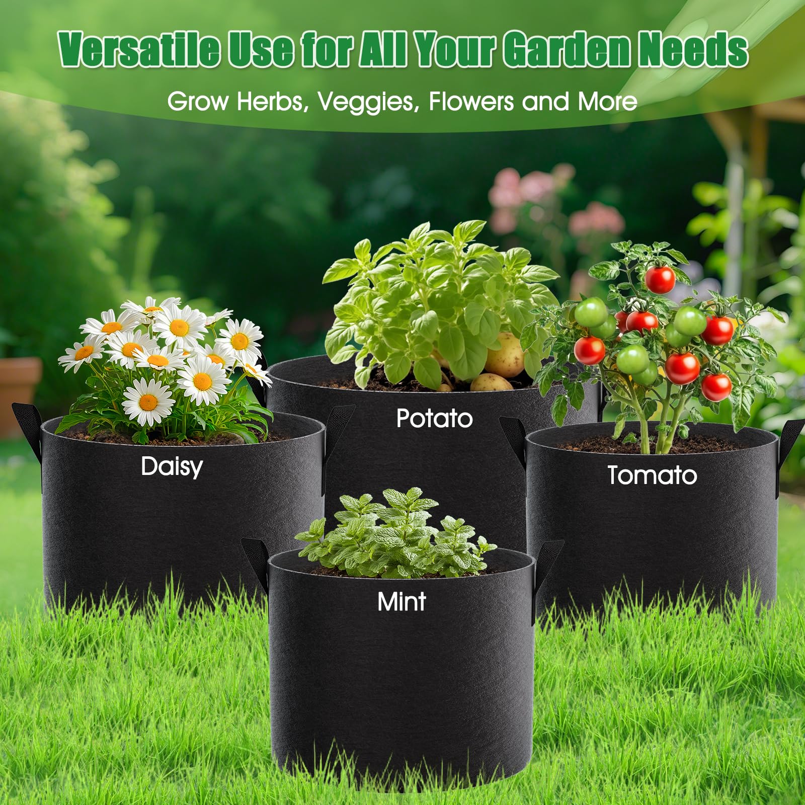 FEED GARDEN comparación de tamaño 5 galones, espacio ideal para hortalizas