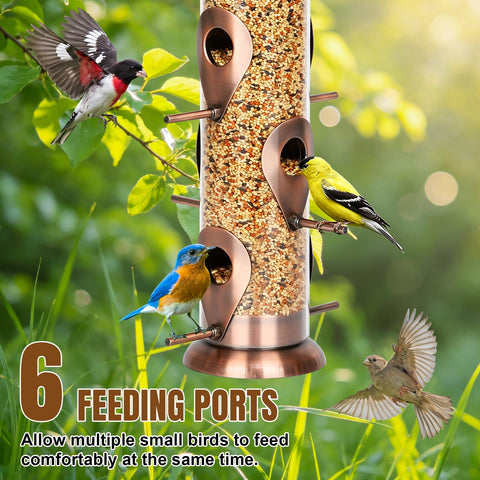 FEED GARDEN perchas y puertos metálicos resistentes que permiten varias aves