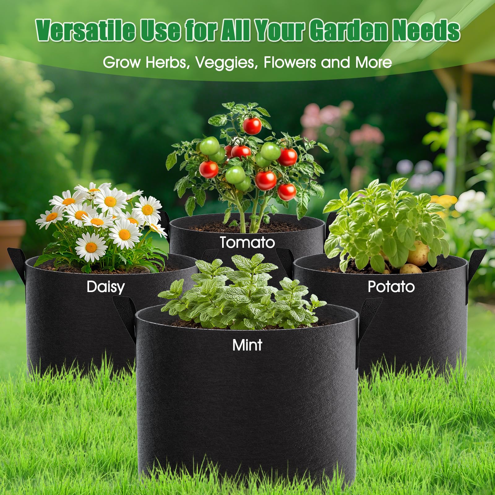FEED GARDEN planta de tomate en bolsa, soporte para frutos