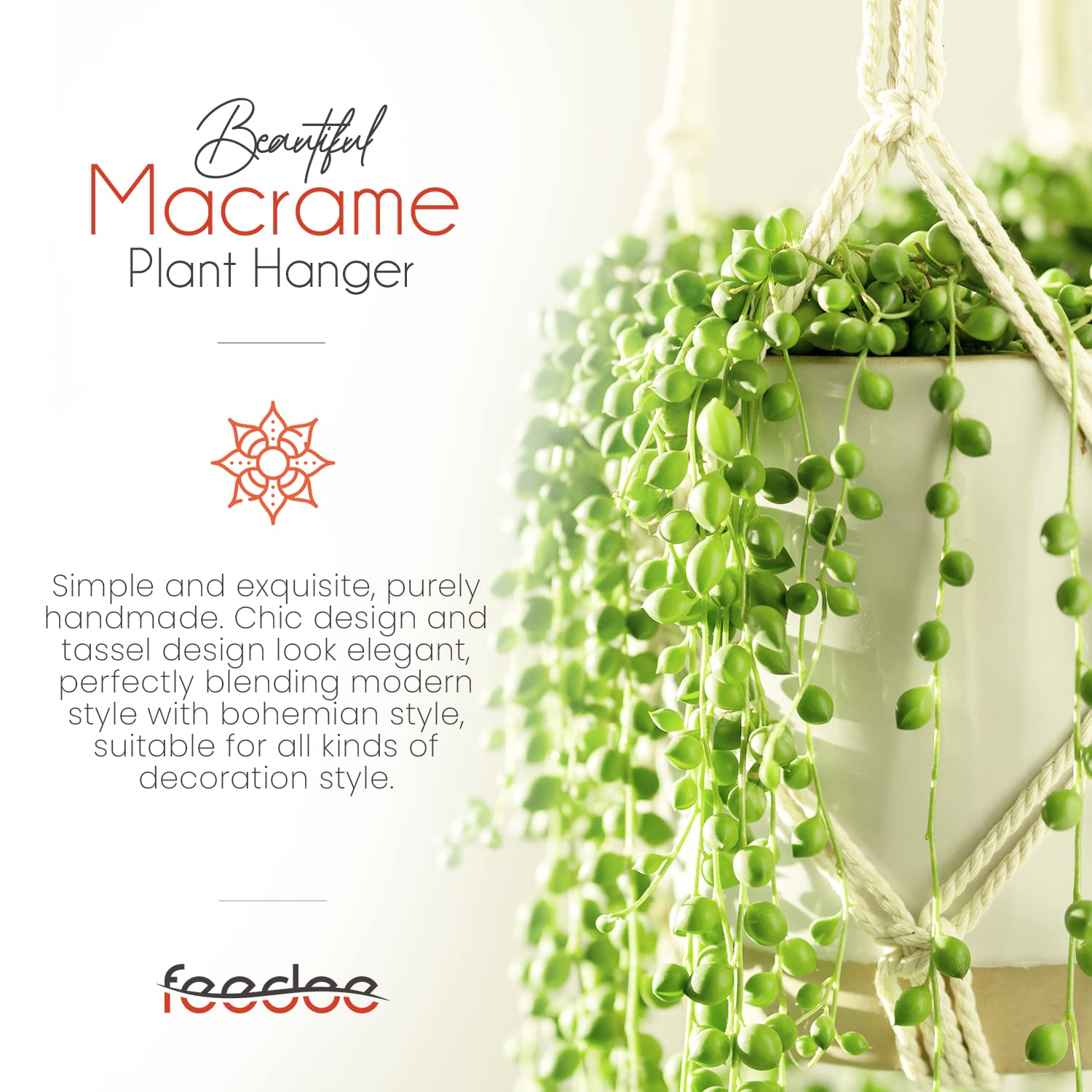 feedee colgadores en salón añadiendo verde y estilo decorativo
