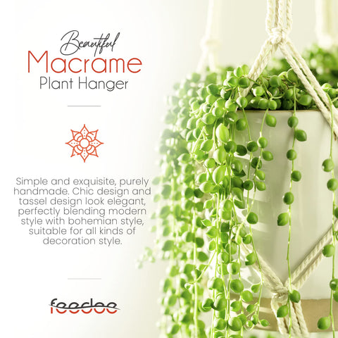 feedee colgadores en salón añadiendo verde y estilo decorativo