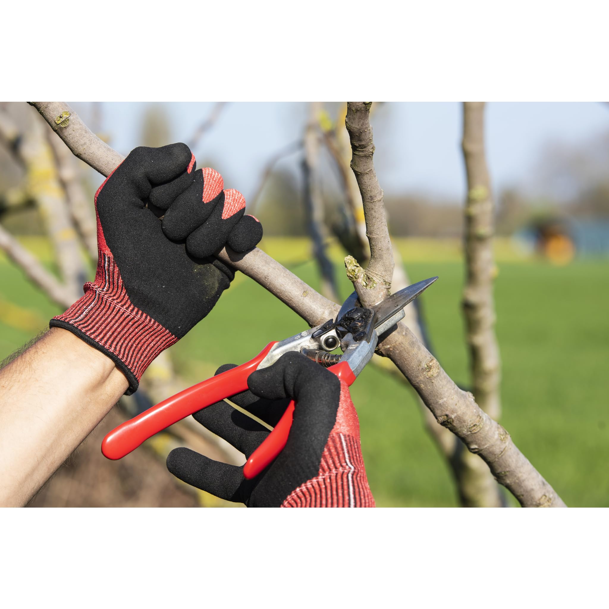 FELCO F-13 detalle de la hoja de acero para cortes precisos