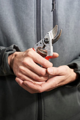 FELCO F14 podando ramas en jardín proporciona cortes limpios y eficaces