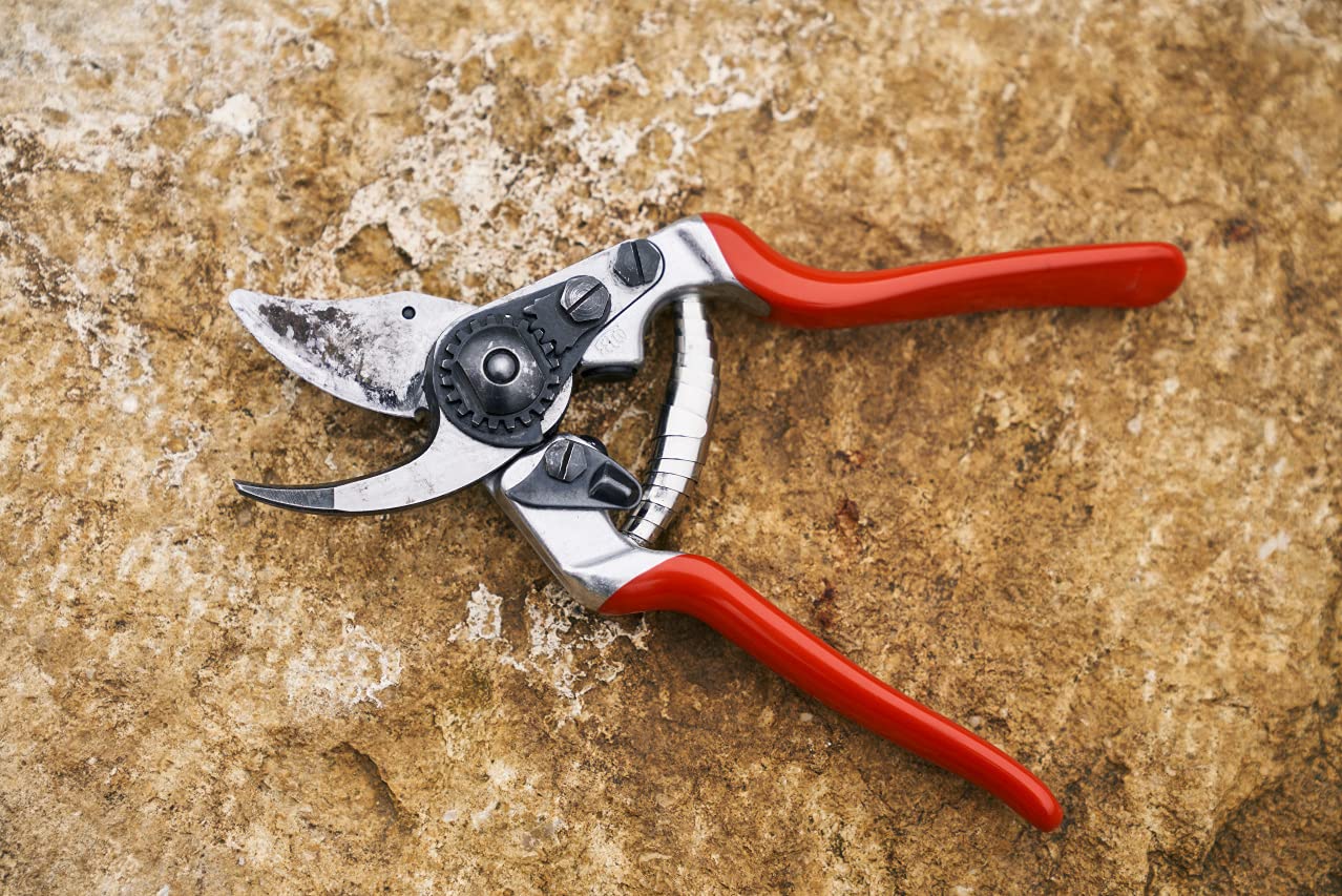 FELCO F14 hoja de acero al carbono en primer plano, corte duradero