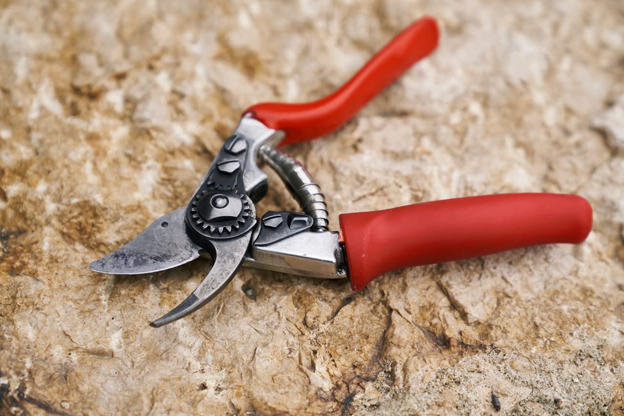 FELCO F 15 primer plano de la hoja yunque con filo duradero