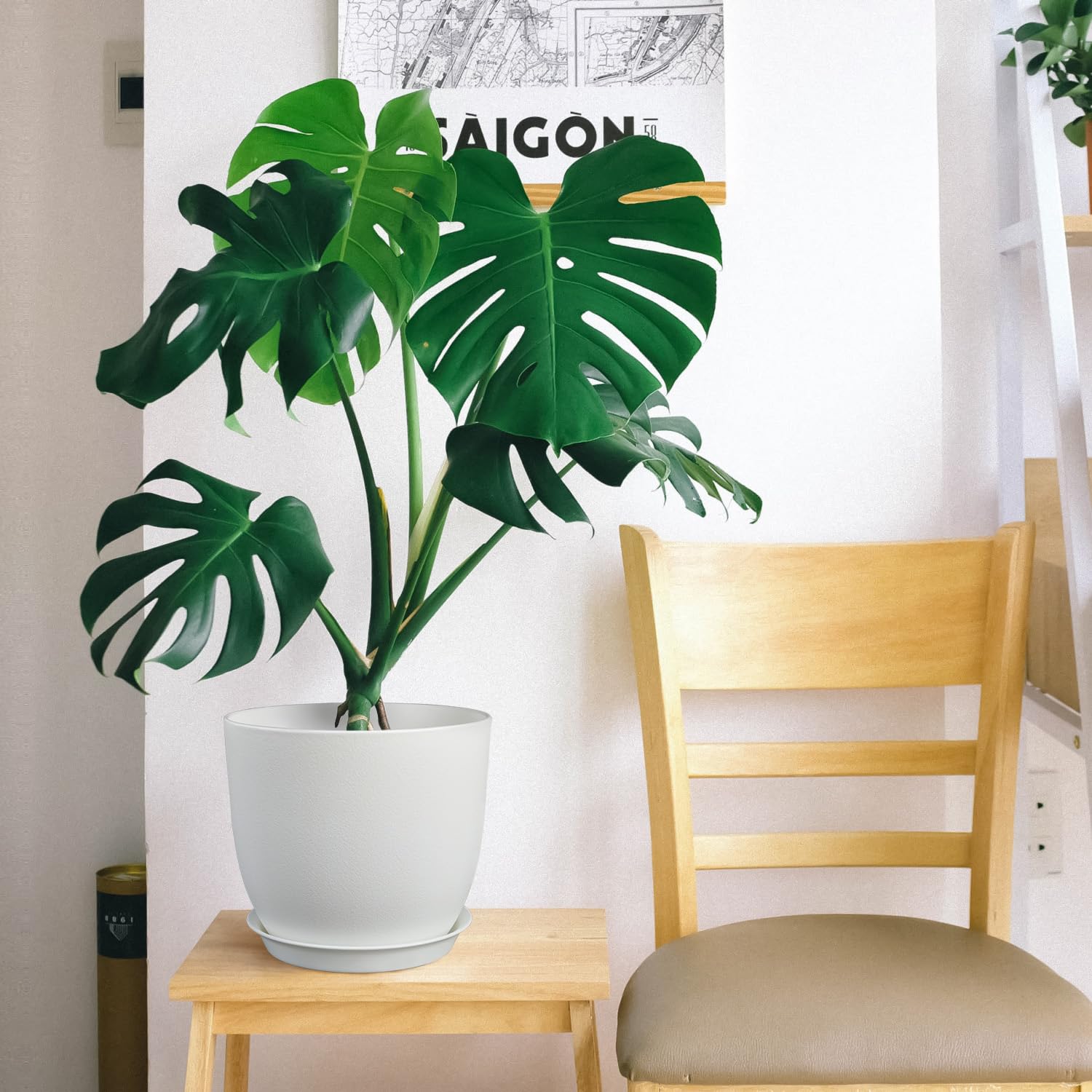 Ferlypote ambientación interior blanca que mejora decoración