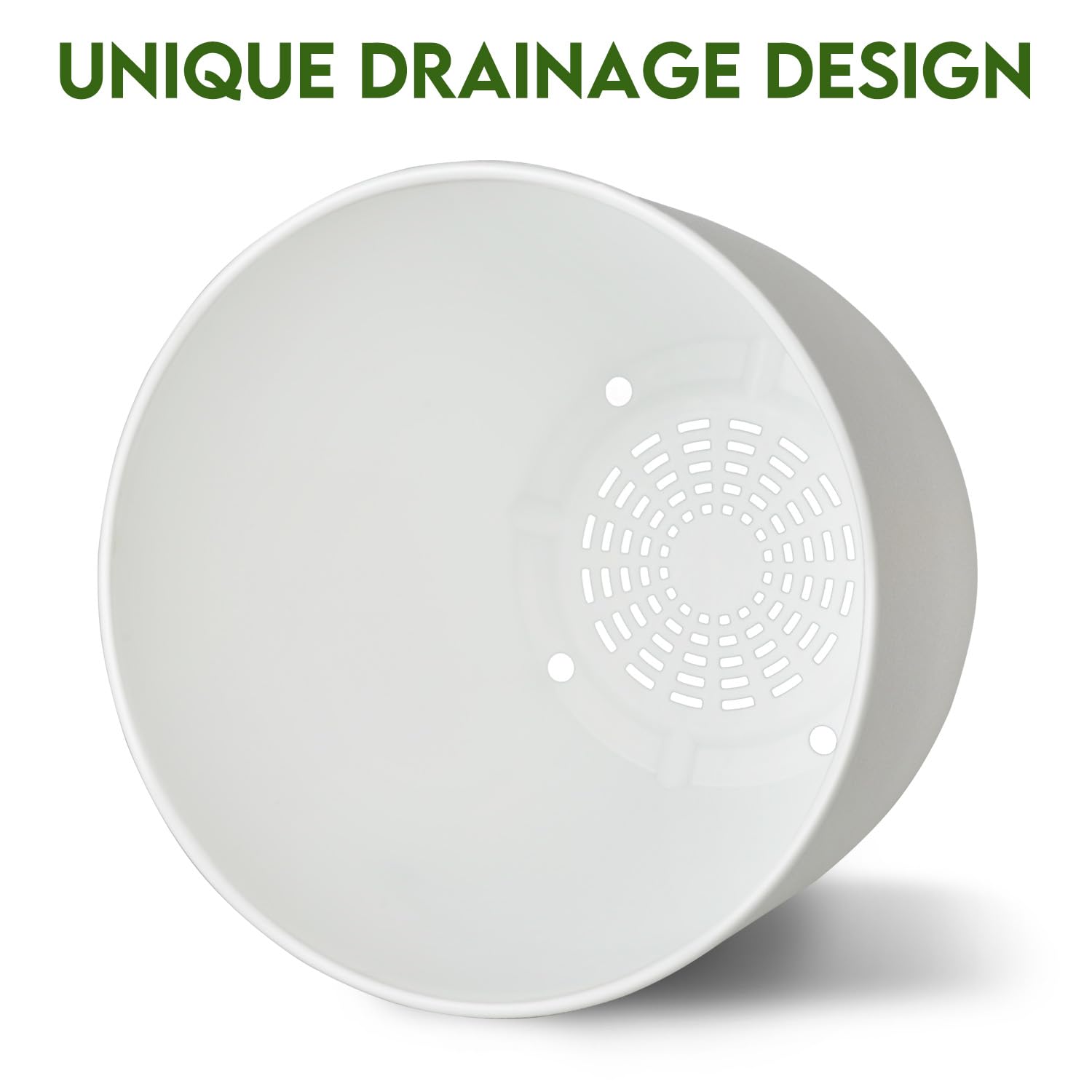 Ferlypote comparación de tamaño con manos para referencia de escala