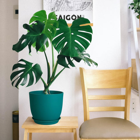 Ferlypote juego de cuatro macetas azules ideal para decorar y plantar