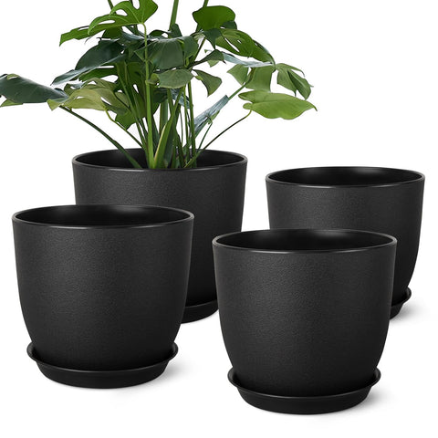 Ferlypote maceta frontal 8 pulgadas mostrando diseño moderno y beneficio estético