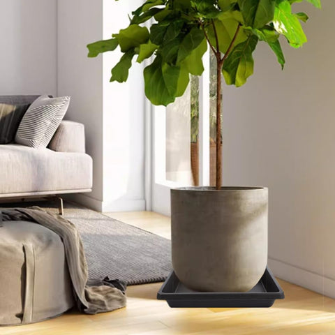 Feyvdzv plato en ambiente interior cuidando muebles y facilitando riego