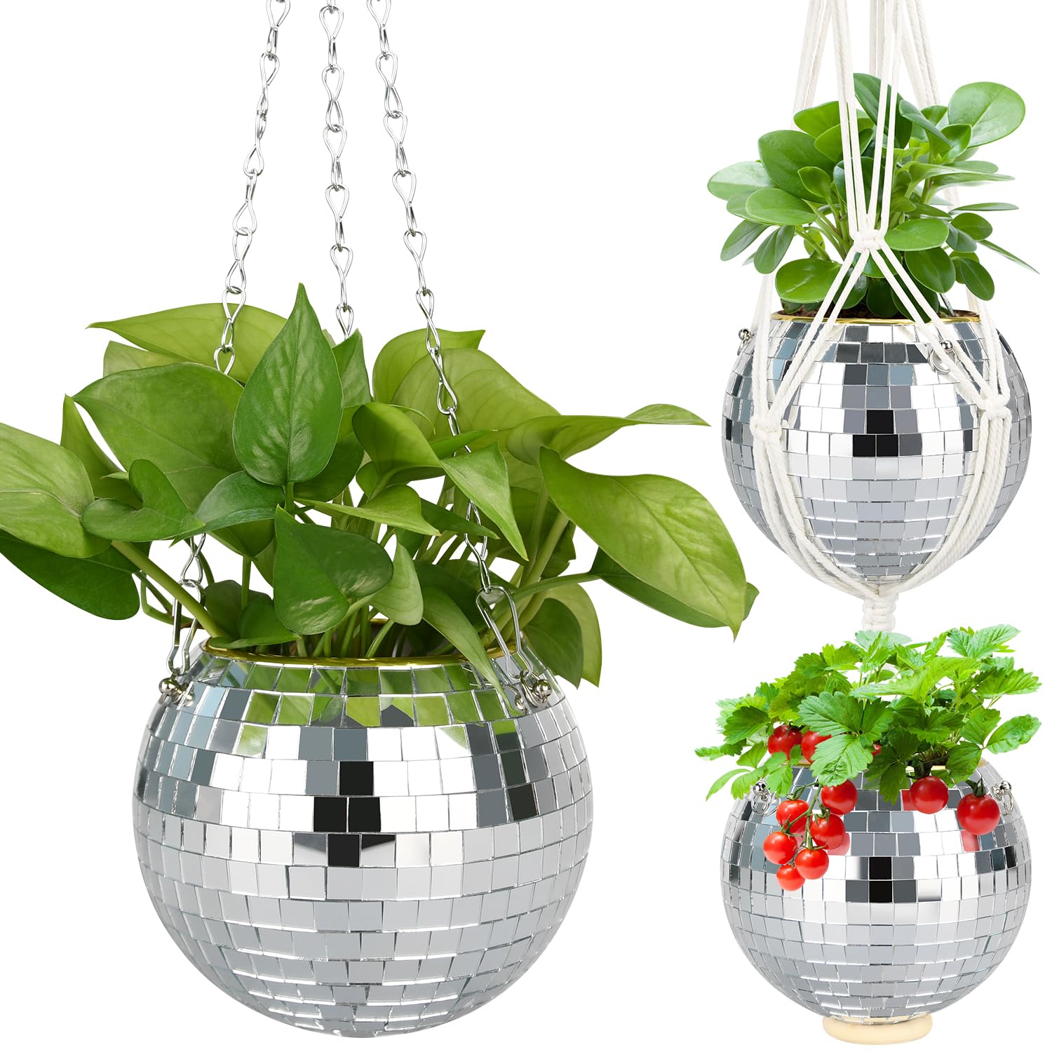 FGBNM maceta disco 6" frontal mostrando brillo y forma, añade estilo decorativo