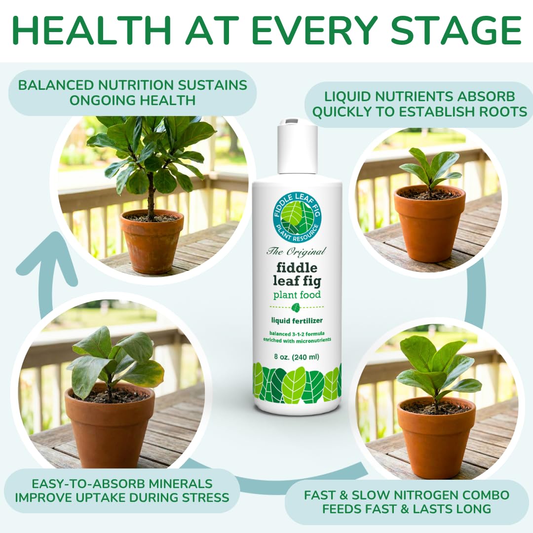 Fiddle Leaf Fig Plant Food etiqueta con ingredientes, transparencia y seguridad certificada