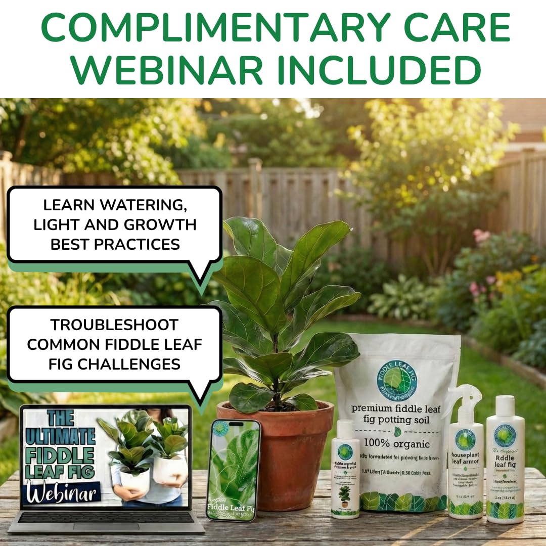 Fiddle Leaf Fig Plant Food material digital en pantalla, acceso a webinar y e-book