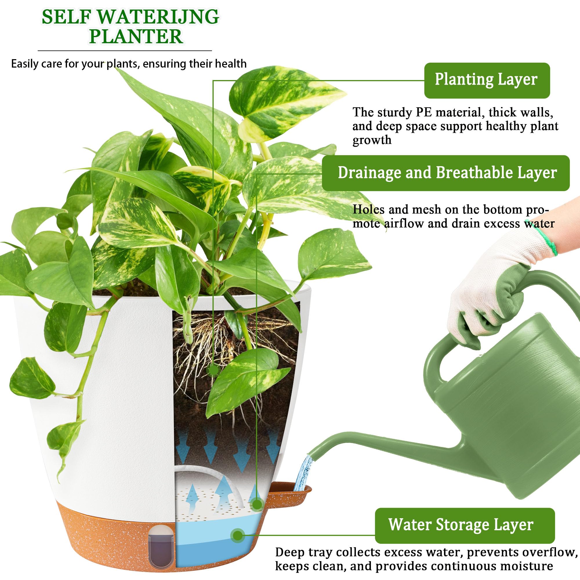 Fielda en ambiente de salón integrándose con decoración y realzando plantas