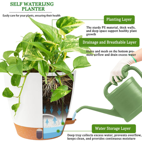 Fielda en ambiente de salón integrándose con decoración y realzando plantas