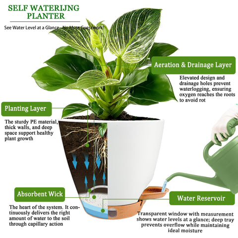Fielda etiquetas decorativas incluidas para identificar y personalizar plantas