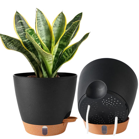 Fielda maceta frontal moderna mostrando su diseño minimalista y ahorro de riego