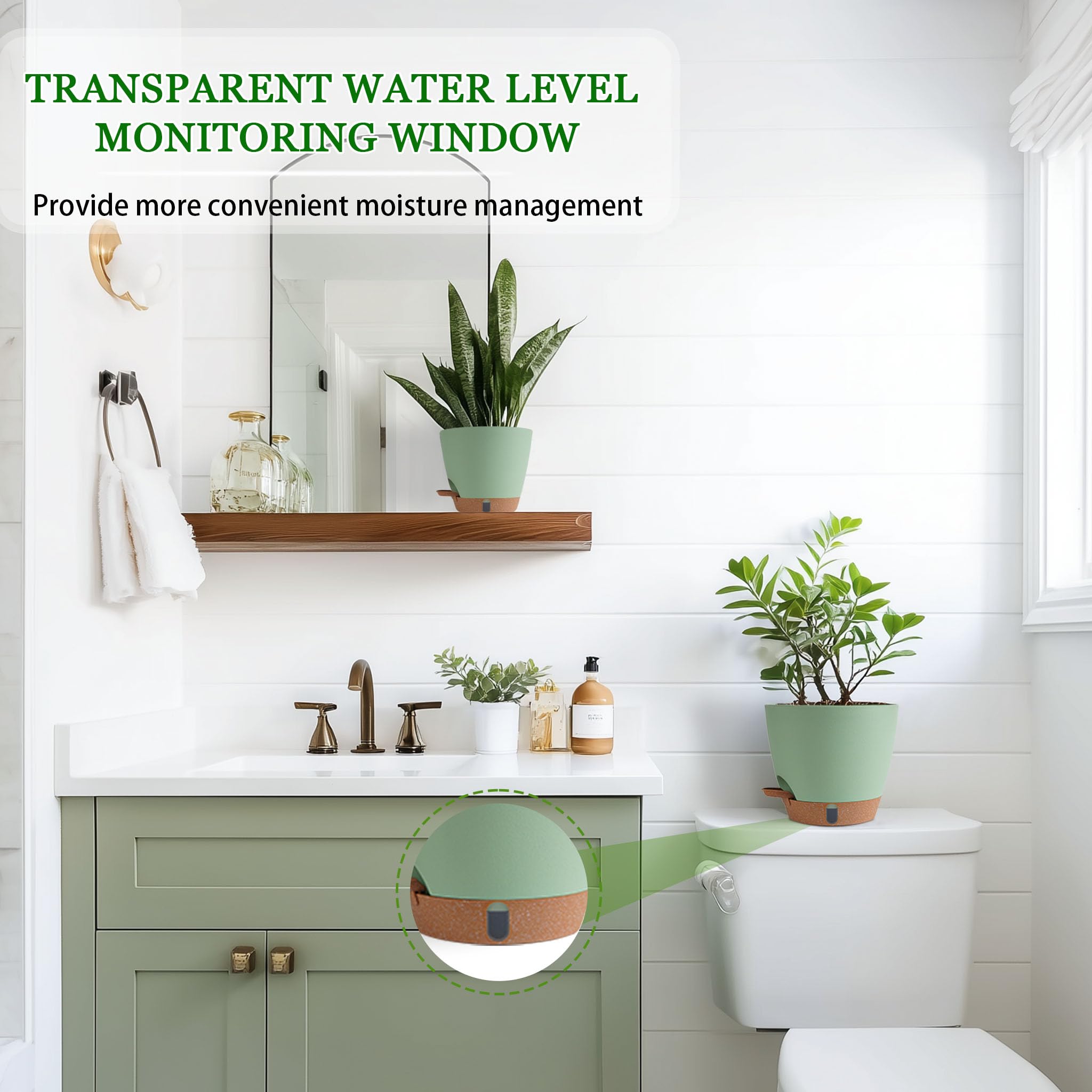 Fielda maceta con planta en salón, decoración y funcionalidad