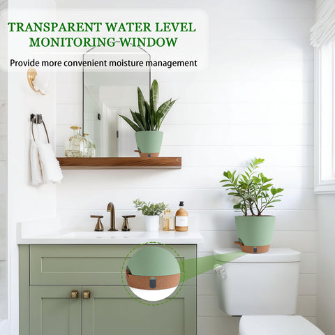 Fielda maceta con planta en salón, decoración y funcionalidad