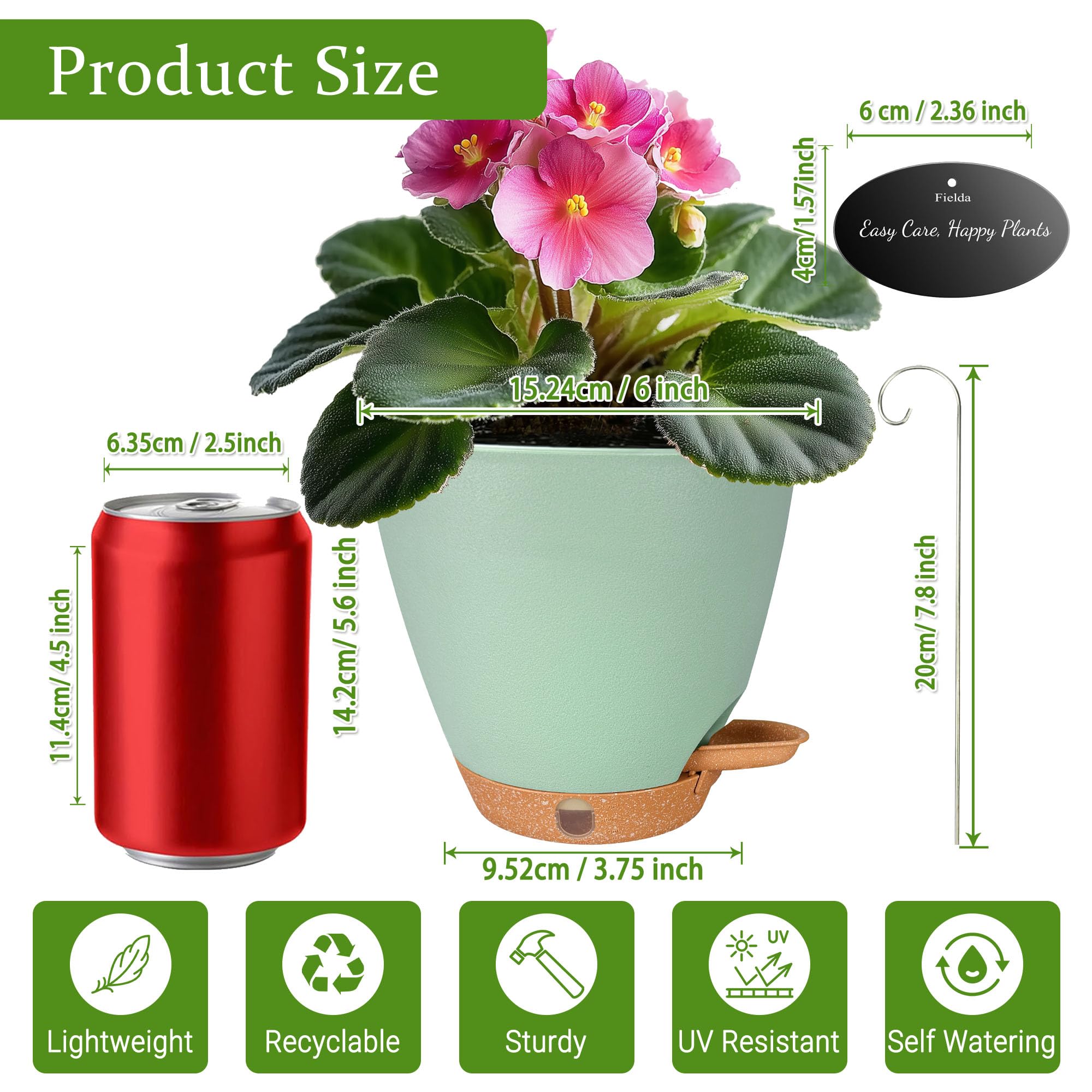 Fielda maceta con suculentas, estética y uso para plantas pequeñas