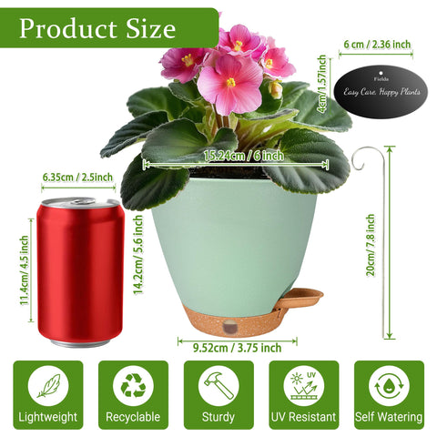 Fielda maceta con suculentas, estética y uso para plantas pequeñas