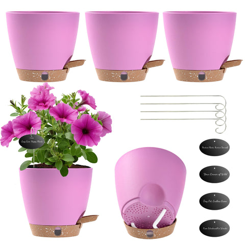 Fielda maceta frontal pack mostrando diseño lavanda y autorriego