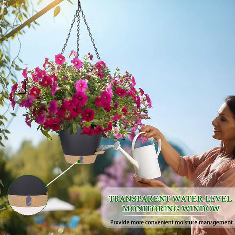 Fielda comparación de escala con planta spider para visualizar tamaño real.
