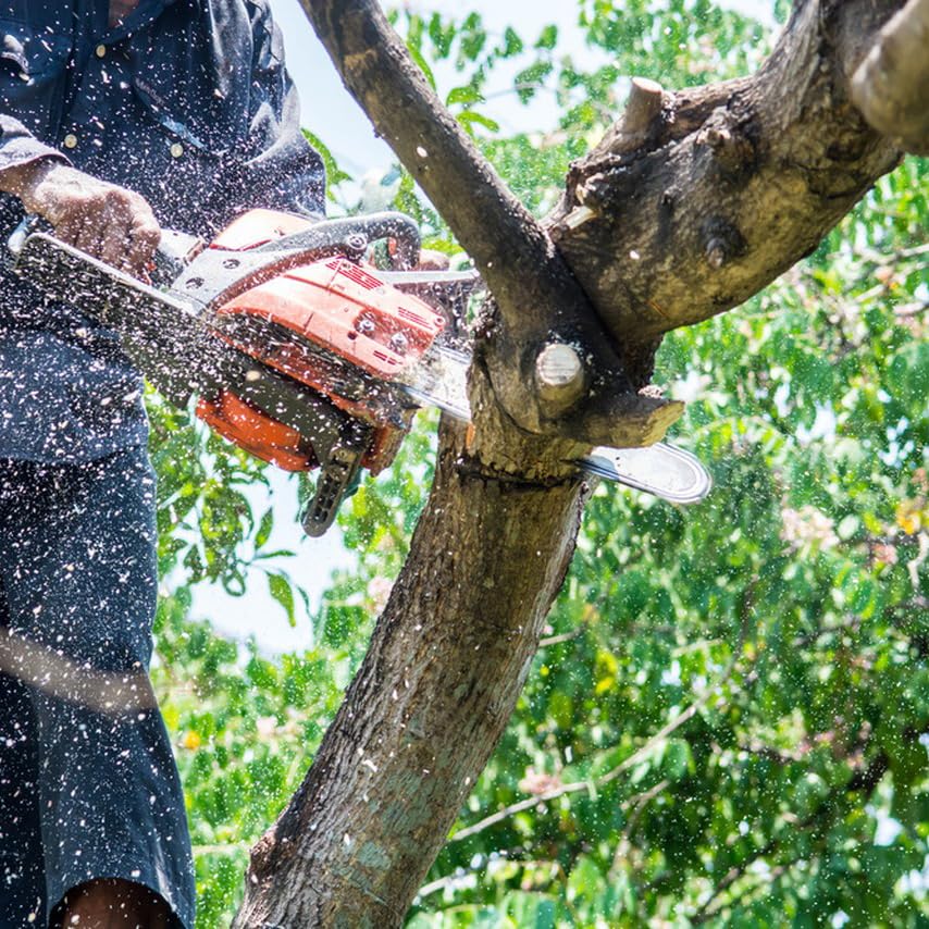 Fifchall kit colocado en jardín listo para trabajos de poda
