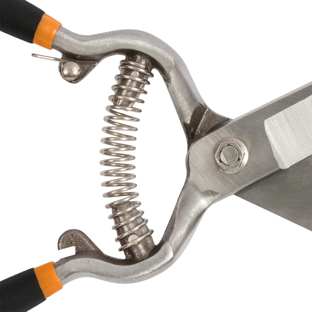 Fiskars tijeras comparadas con mano para mostrar tamaño y facilidad manejo