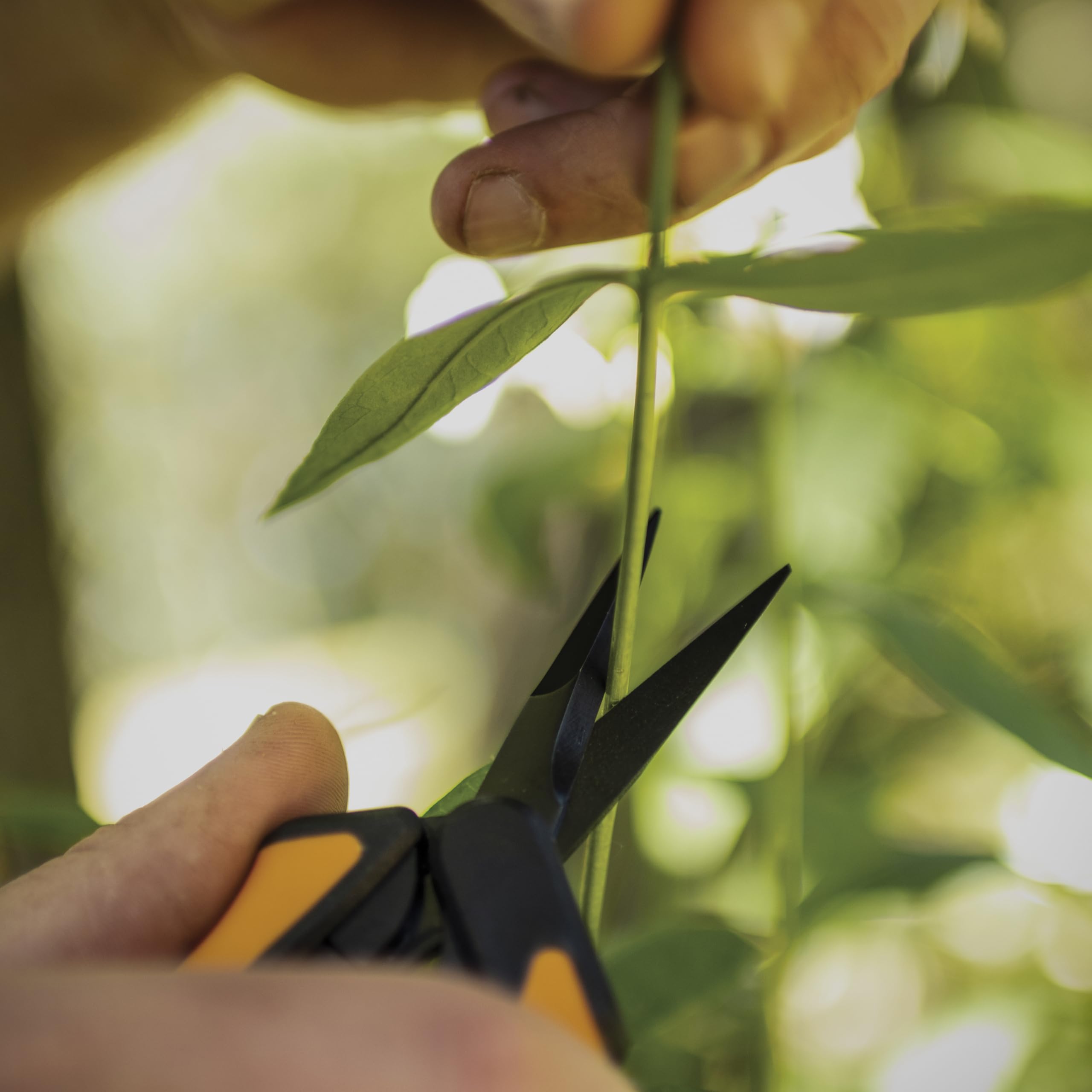 Fiskars dos unidades del pack listas para alternar o evitar contaminación cruzada
