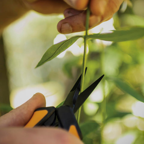 Fiskars dos unidades del pack listas para alternar o evitar contaminación cruzada