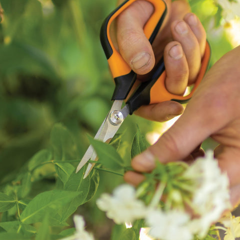 Fiskars micro-punta en primer plano para cortes precisos en flores y yemas