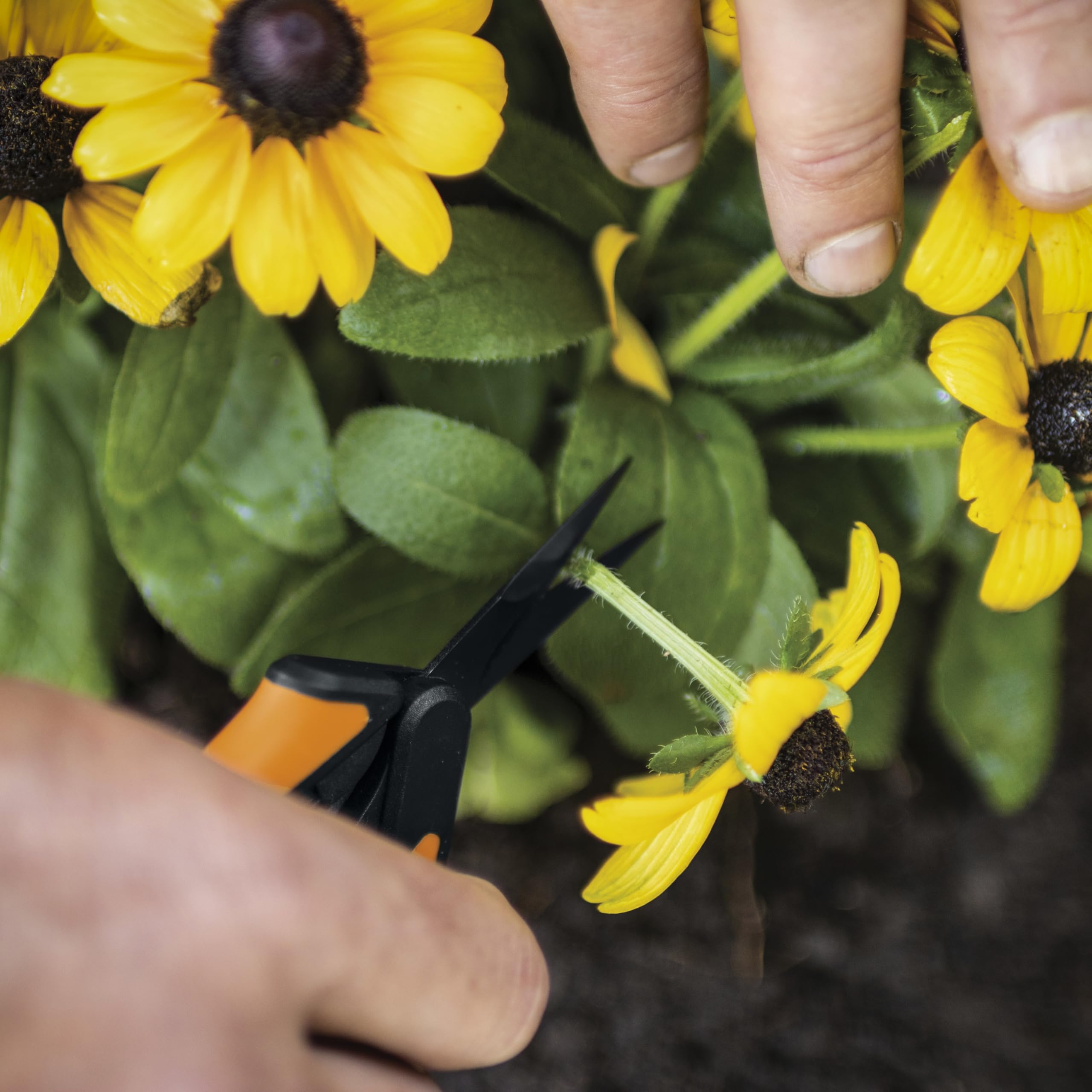 Fiskars tijeras comparadas con mano para apreciar tamaño compacto y manejo