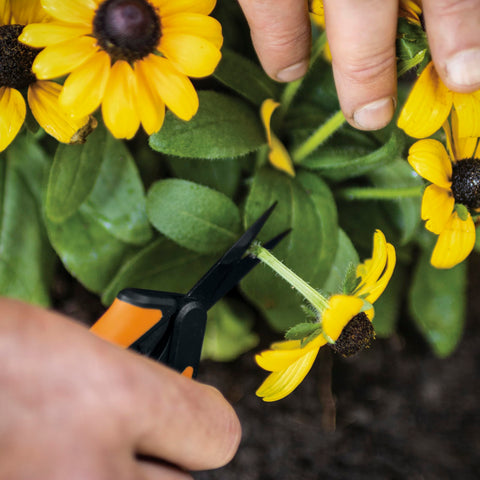 Fiskars tijeras comparadas con mano para apreciar tamaño compacto y manejo