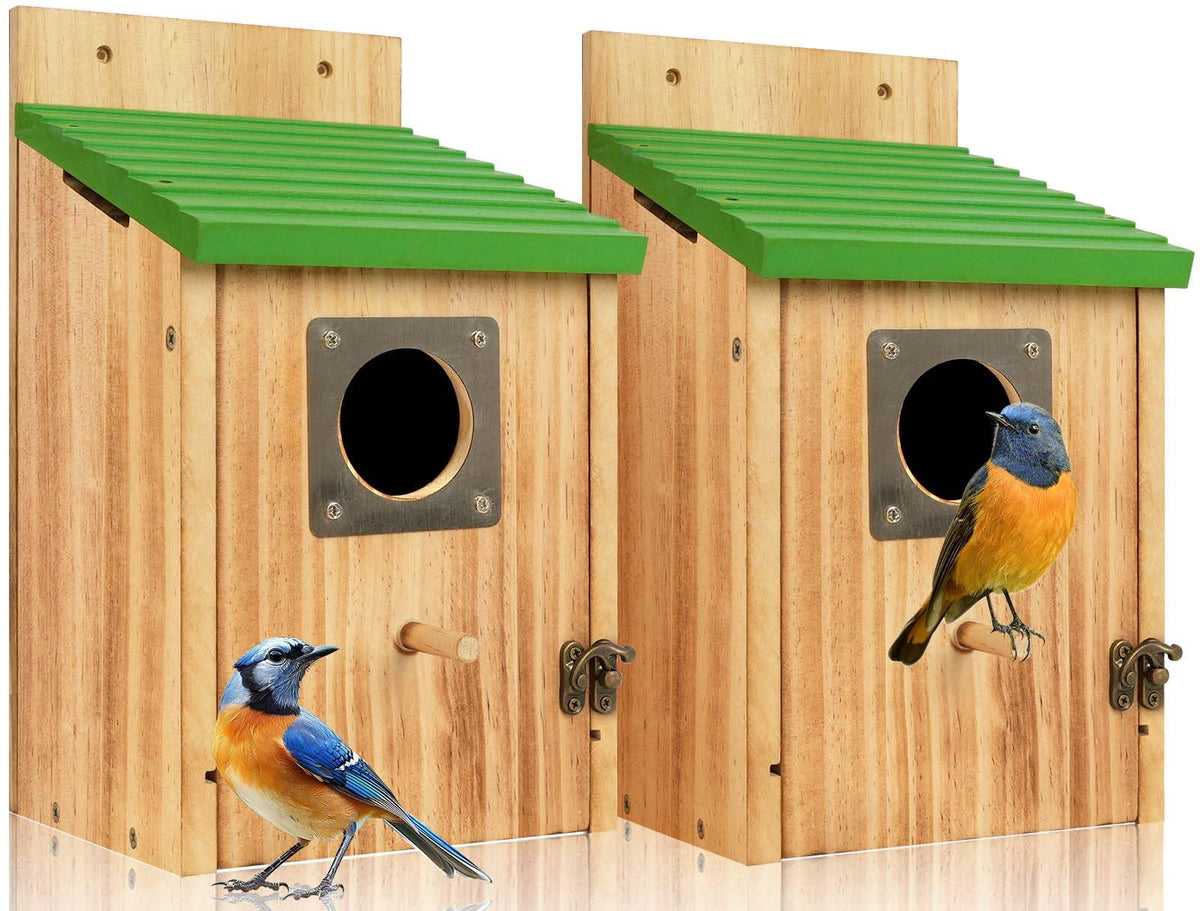 Fitraho casa de pájaros frontal mostrando diseño robusto y bienvenida segura