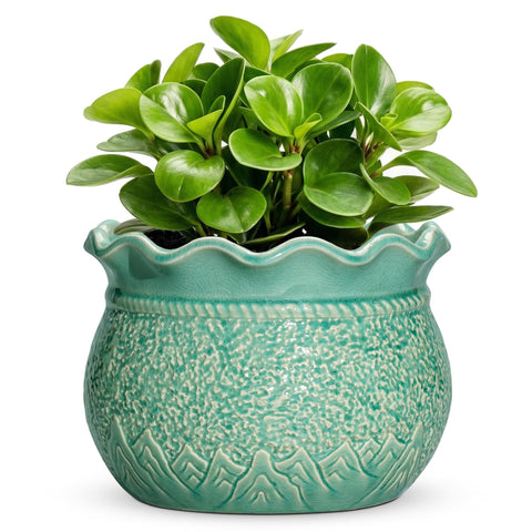 Fivepot maceta cerámica frontal mostrando acabado verde craquelado y elegancia