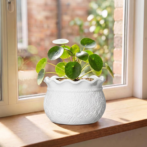 Fivepot vista superior con agujero de drenaje para mejor salud radicular
