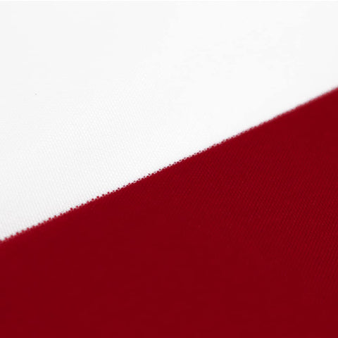 Flaglink banderas colgadas en balcón aportando decoración patriotica